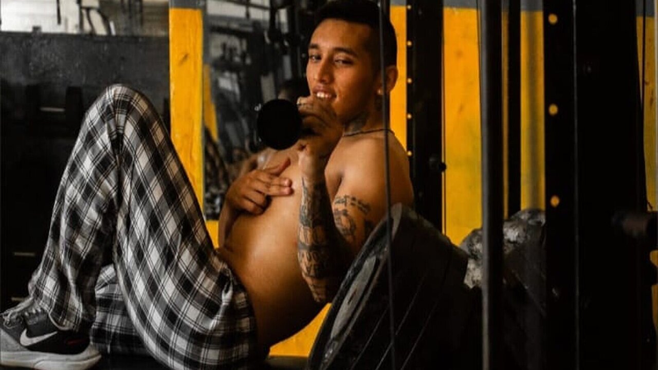 Live Porn Camera of EvanVelvet