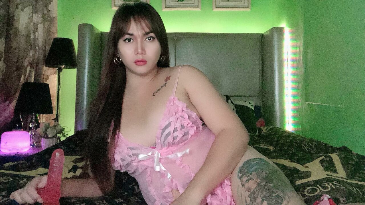 Live Porn Camera of AsianGirMitch